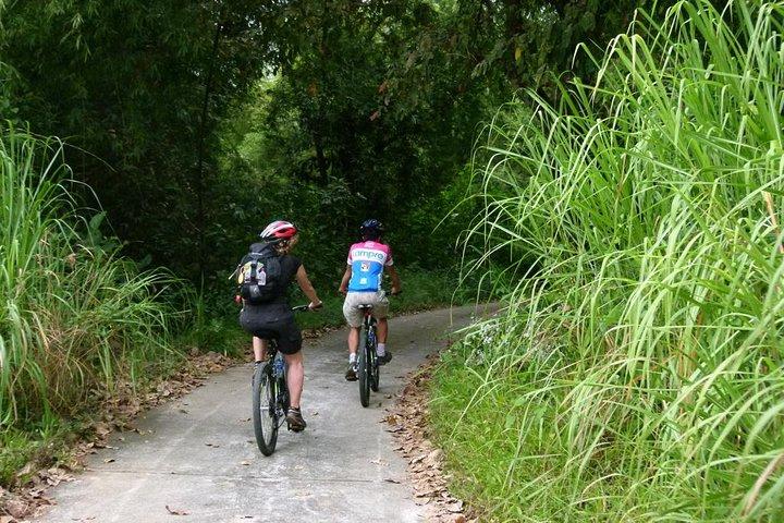 Cidade de Ho Chi Minh: Cat Tien National Park Wildlife Adventure 2D1N