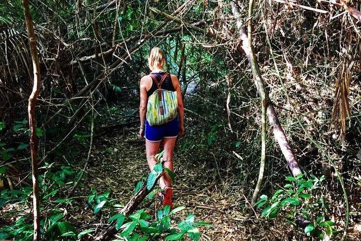 Cidade de Ho Chi Minh: Cat Tien National Park Wildlife Adventure 2D1N