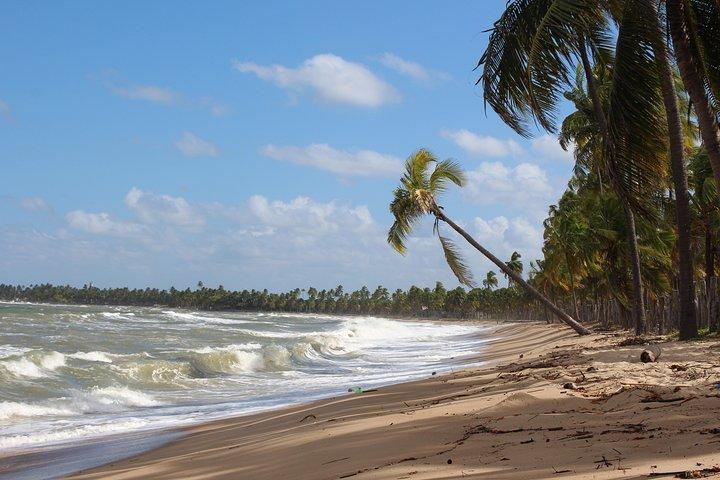 レシフェ空港からセランビへのプライベートトランスファー(RECIFE TRANSLADOによる)