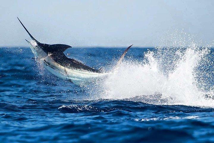 Half Day Fishing Charter - Em terra ou no mar