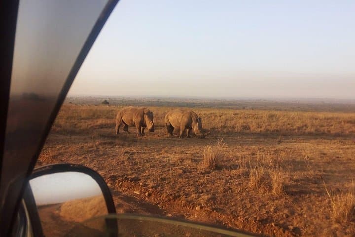 Nairobi 8.a.m Pick Up/mamba Village/elephant Sanctuary/giraffe Centre/nairobi Pk