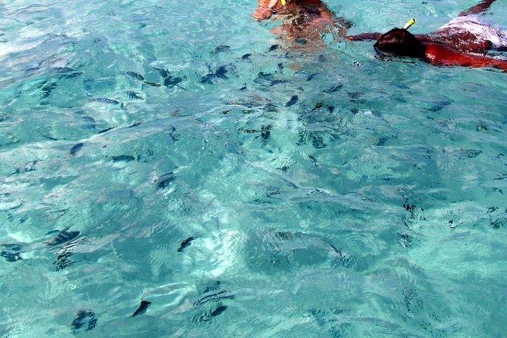 Exclusief privé-catamaranavontuur naar Ile aux Cerfs