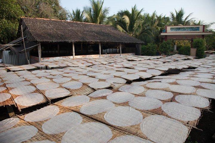 Tour del delta del Mekong Giornata intera Cai Be-Vinh Long