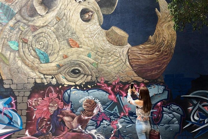 Mexico City Private Street Art Tour