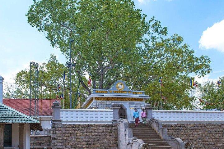 Anuradhapura Privater Tagesausflug von Colombo, Negombo oder Katunayaka