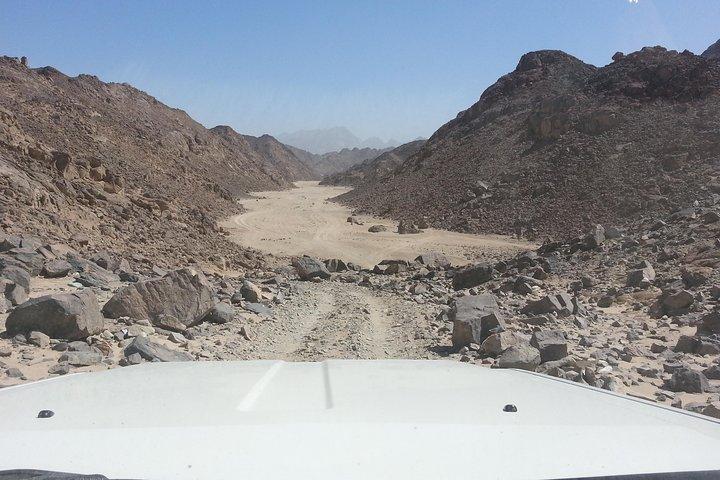 Jeep Safari 4x4 dans le désert oriental