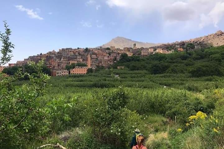 Atlas Mountains e 3 valli Day Trip da Marrakech