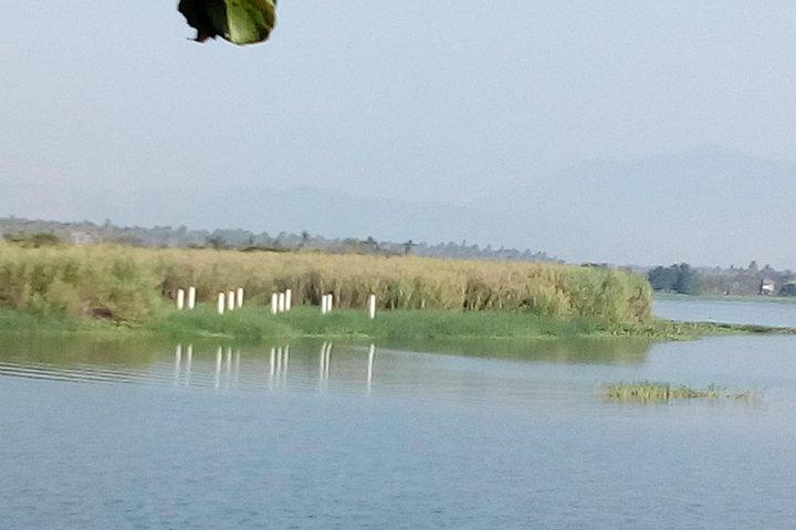 Coyuca Lagoon Adventure