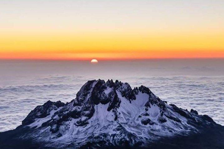 Mountain Kilimanjaro Klatring 9 Dage Northern Circuit Route