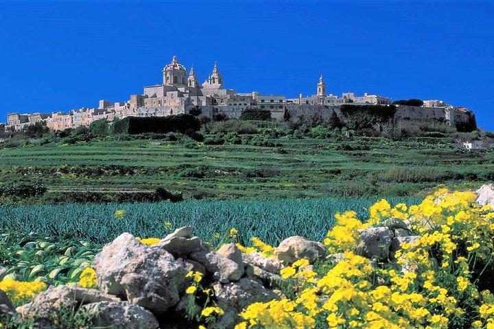 Mdina, Rabat, Dingli cliffs, San Anton gardens, Ta' Qali & Mosta guided tour