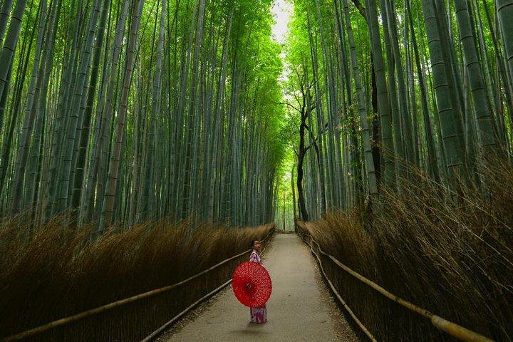 Japan Discovery Tour (12 Days)
