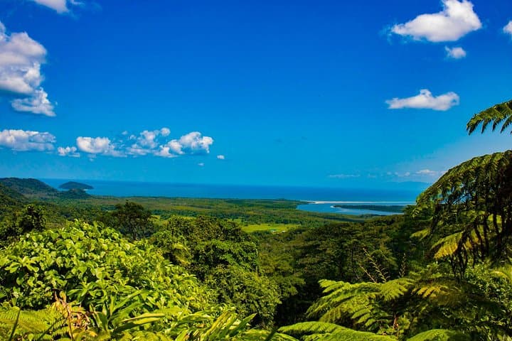 Cape Tribulation Day Tour