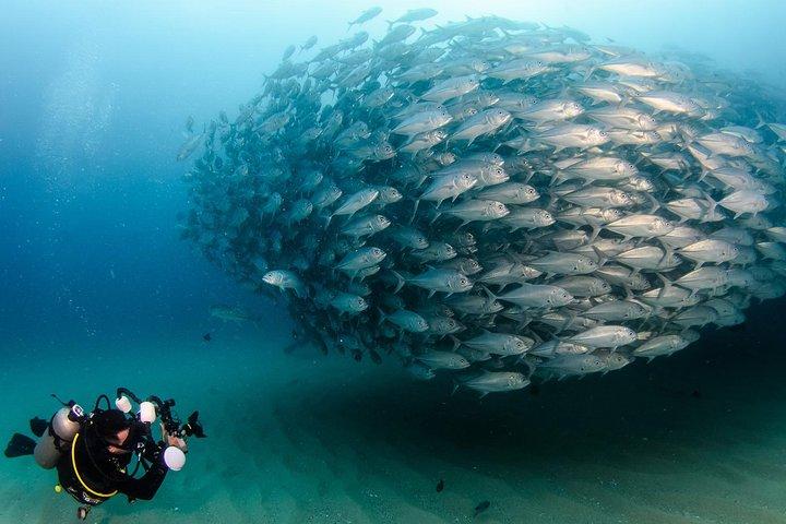 Plongée Padi à Marsa Alam