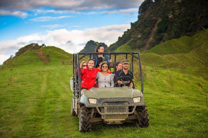 Excursão de 10 dias de Auckland a Wellington
