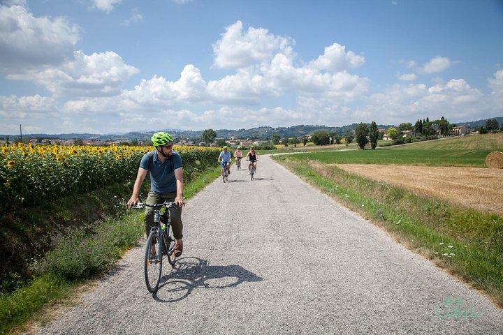 Excursion en vélo électrique près d'Assise avec dégustation de vin et déjeuner de cave