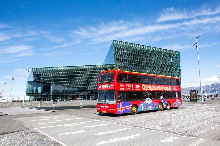 Il Golden Circle e City Sightseeing