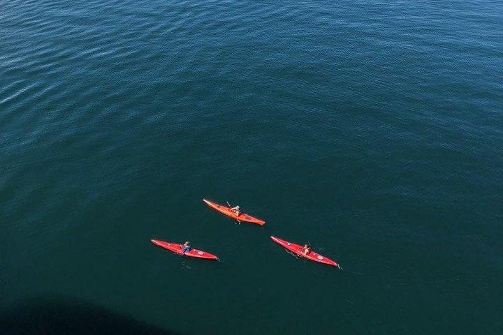 Kayak Tours
