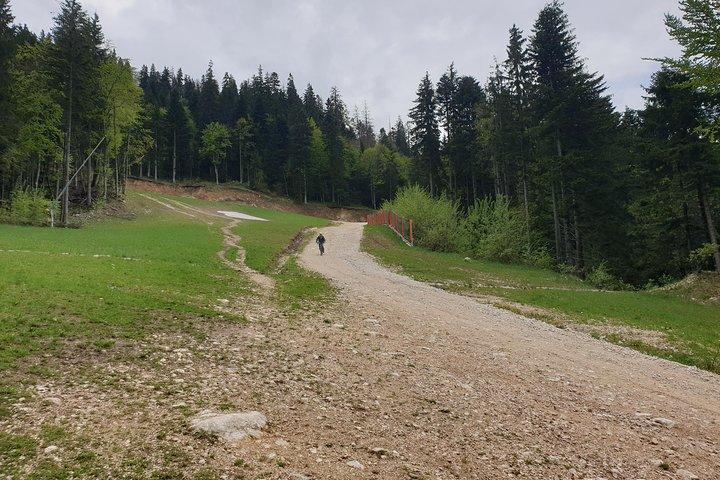 Gira electrónica de POIANA BRASOV y POSTAVARU CHALET (BRASOV)