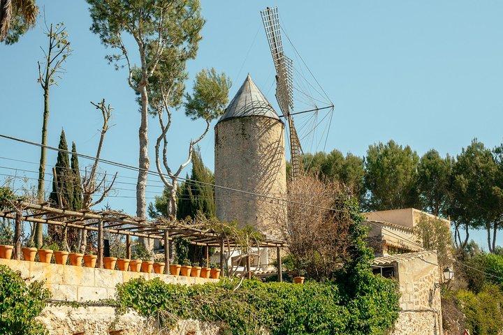 Excursión privada de un día a las cuevas del Drach en Mallorca en coche con recogida en el hotel