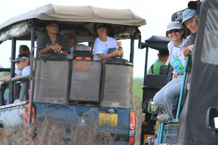 Eftermiddagsafari til Wilpattu National Park