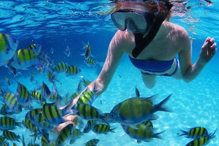 サンブラス諸島1日ツアー+パナマ市内からの送迎