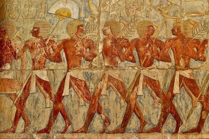 Private Guided tour Valley of the King ,Queen Hatshepsut, &Memnon