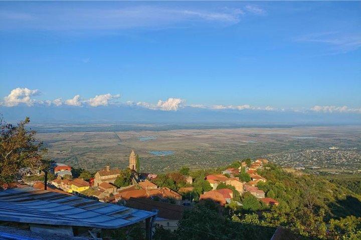 Premium & Organic Wine Tour i Kakheti