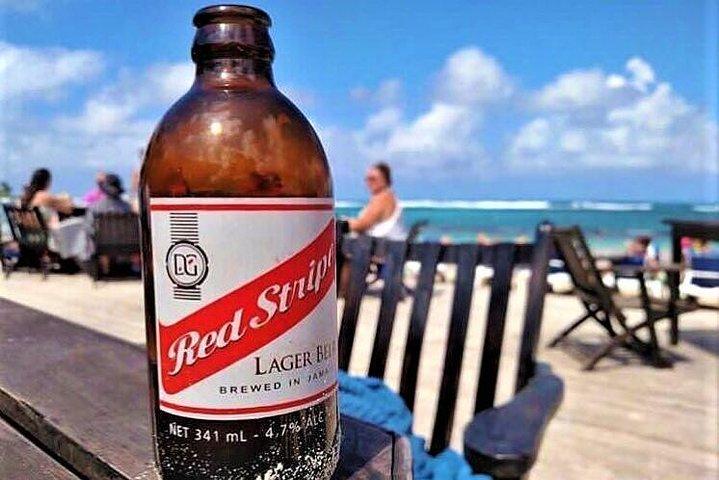Private Dunn's River Falls Tour and Bamboo Blu Beach Experience from Ocho Rios