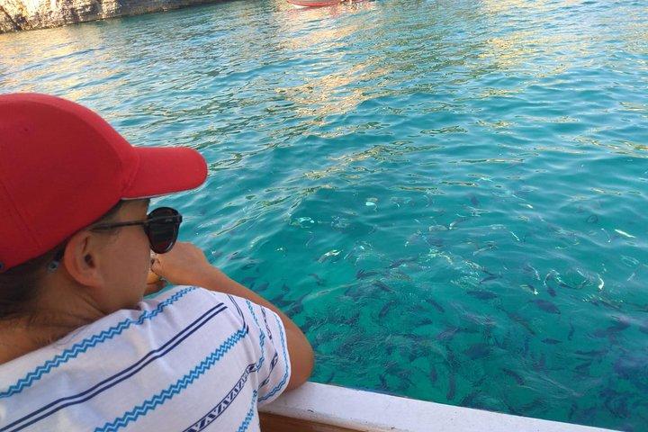 Pula Glass Boat Cruise: Vista submarina e nadar com peixes