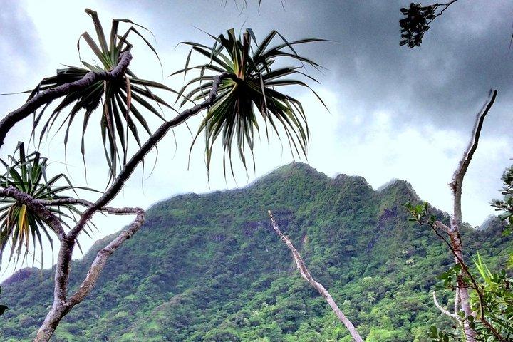 Rancho Kualoa: Bicicleta eléctrica para principiantes