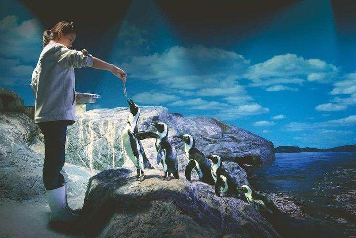 Ingresso SEA LIFE Ocean World em Bangkok