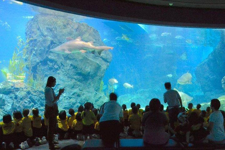 Ingresso SEA LIFE Ocean World em Bangkok