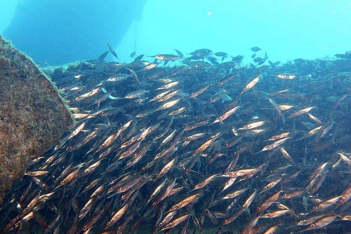 Corso Open Water PADI a Gran Canaria