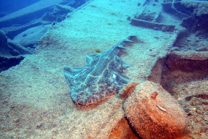 Corso Open Water PADI a Gran Canaria