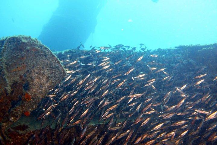 Corso Open Water PADI a Gran Canaria