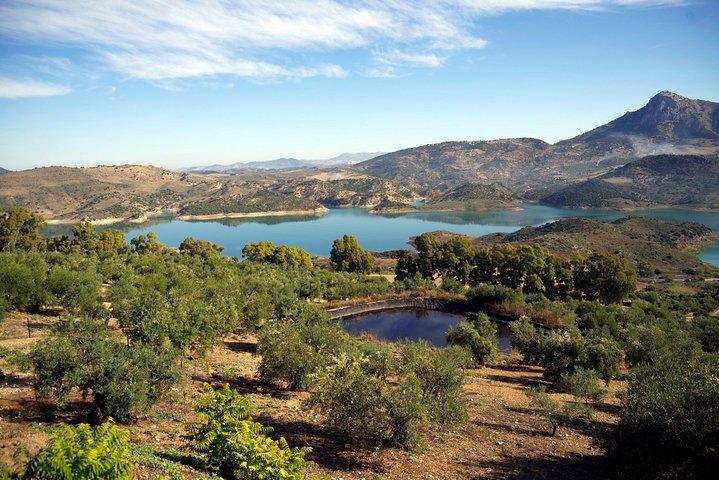 Private White Villages & Ronda Day Tour vanuit Sevilla