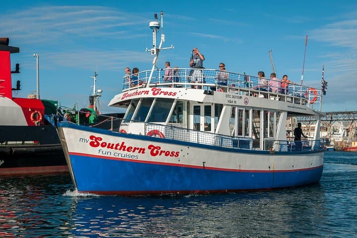 Half Hour Seal and Harbour Cruise from Cape Town