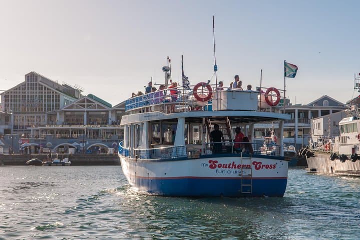 Half Hour Seal and Harbour Cruise from Cape Town