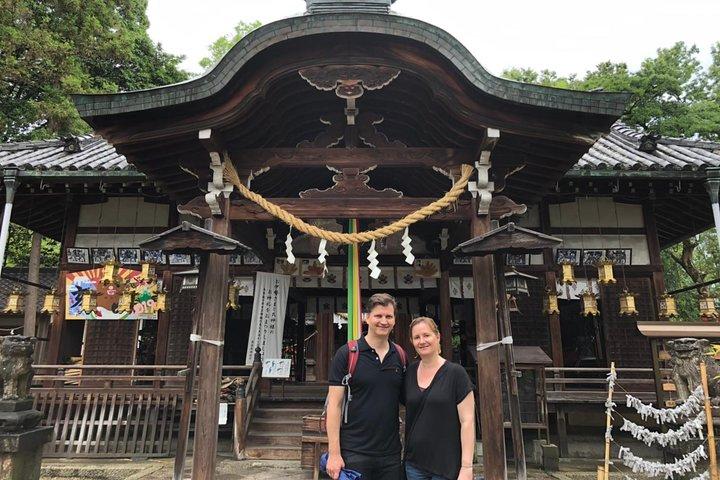 Yamato-Koriyama Castle y Goldfish Small-Group Tour de Nara