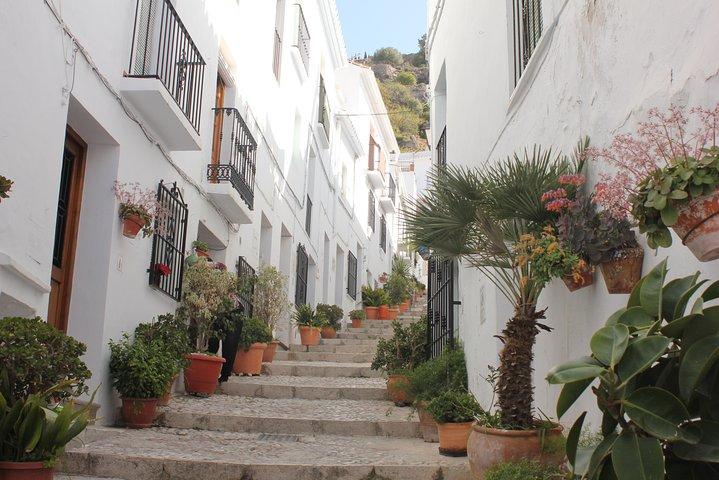 Excursão semi-privada a Frigiliana e The Lost Village com almoço incluído