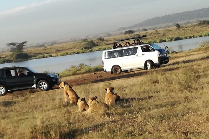 2 Days Masai Mara Budget Safaris