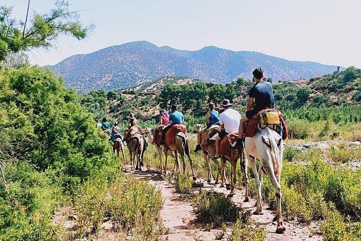 Marrakech to Atlas Mountains and 4 Valleys Day Trip
