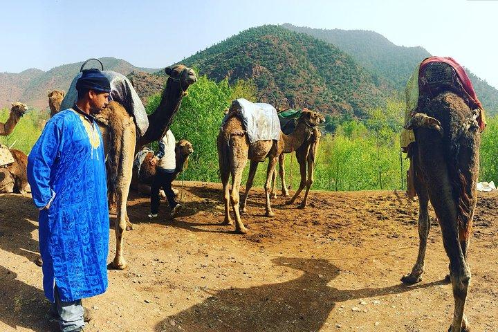 Day Trip To Ourika Valley From Marrakech