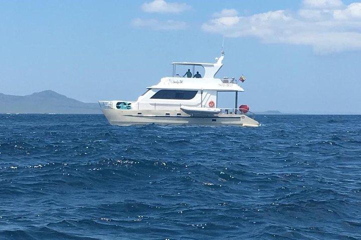 Sovende Løve Snorkeltur