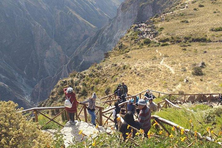 Colca 2 dage og 1 nat