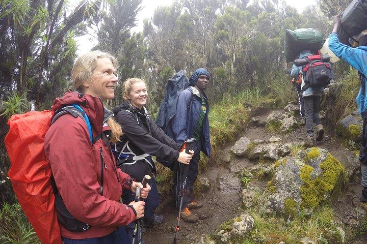 Trek naar de Kilimanjaro
