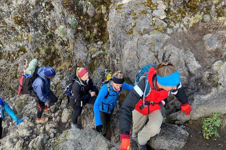 Trek naar de Kilimanjaro