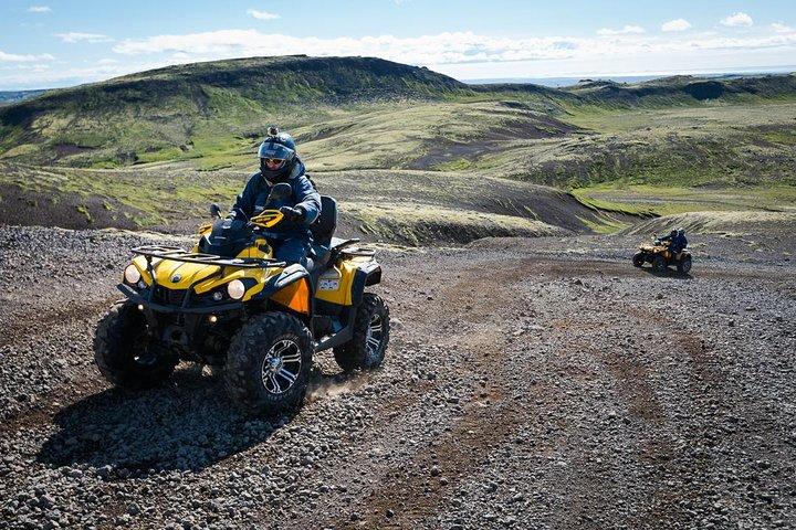 Reykjavik ATV & walvissen kijken Full-Day Adventure