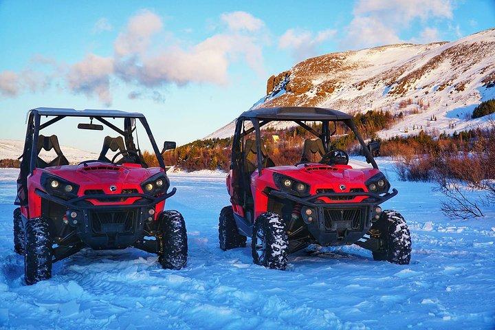 Reykjavik Buggy & Whale Watching fuld dag eventyr