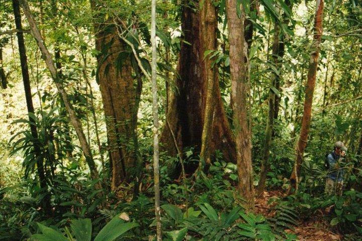 Hidden Waterfall Hike From Panama City